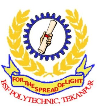 BSF Polytechnic Logo